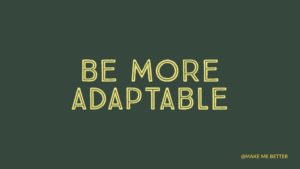 Be More Adaptable