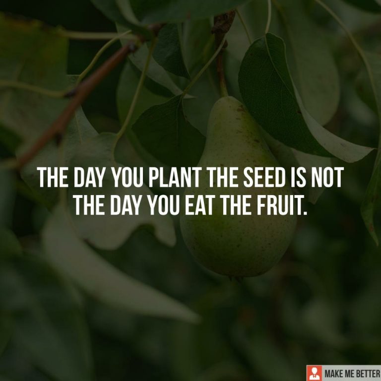 The day you plant the seed is not the day you eat the fruit.