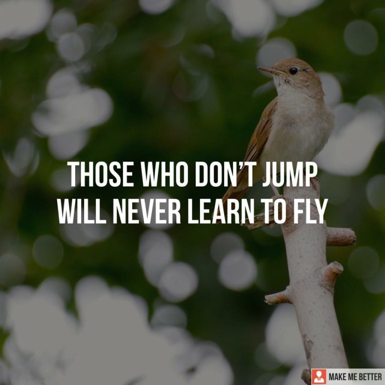 Those who don’t jump, will never learn to fly.