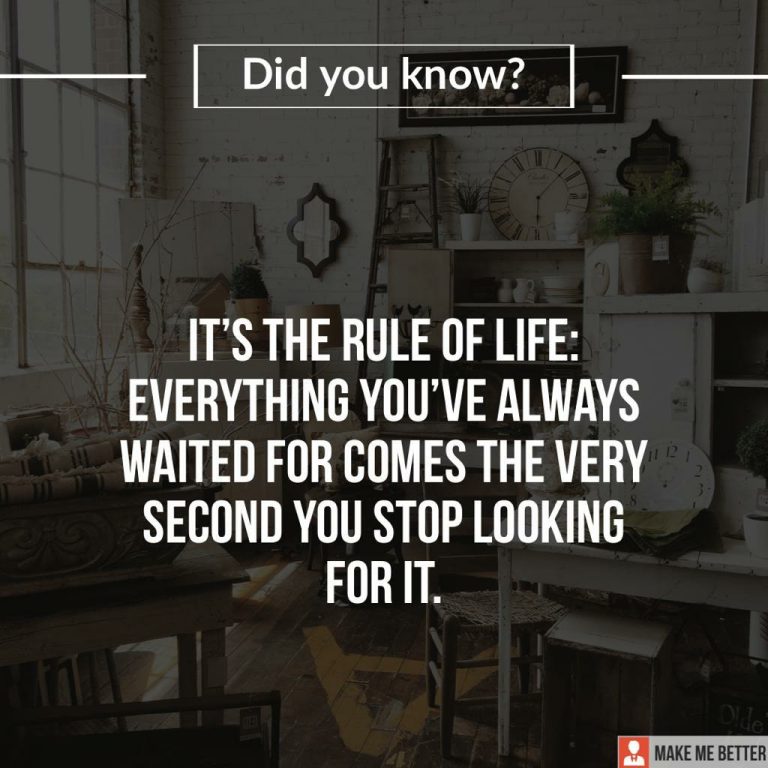 It’s the rule of life: everything you’ve always waited for comes the very second you stop looking for it. It’s the rule of life: everything you’ve always waited for comes the very second you stop looking for it.