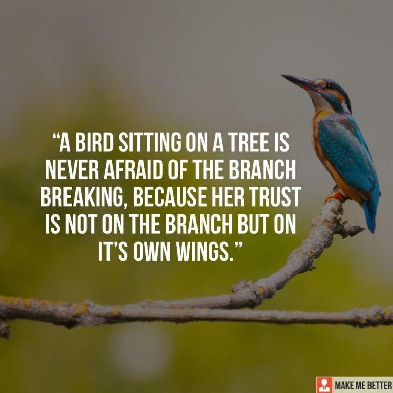 A Bird sitting on a tree is never afraid of the branch breaking, because her trust is not on the branch but on it’s own wings.