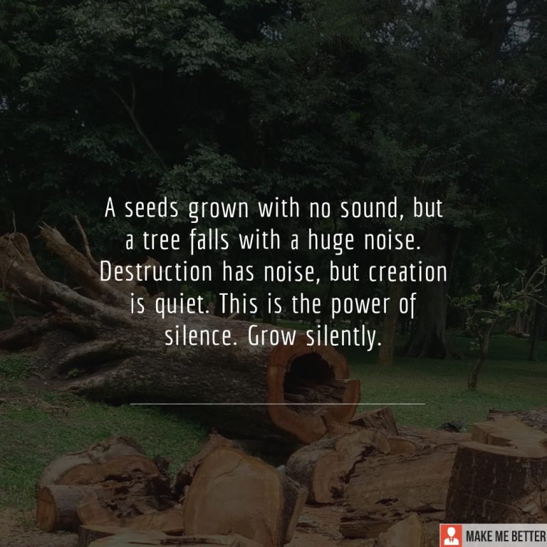 A seeds grown with no sound, but a tree falls with a huge noise. Destruction has noise, but creation is quiet. This is the power of silence. Grow silently.