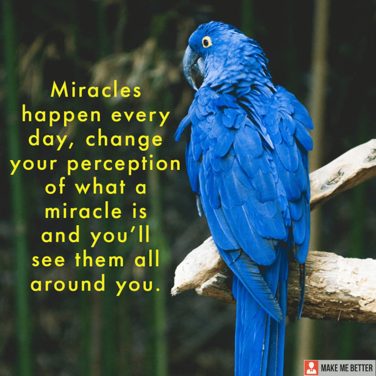 Miracles happen every day, change your perception of what a miracle is and you’ll see them all around you.