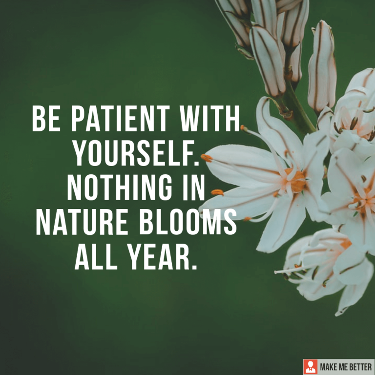 Be patient with yourself. Nothing in nature blooms all year.