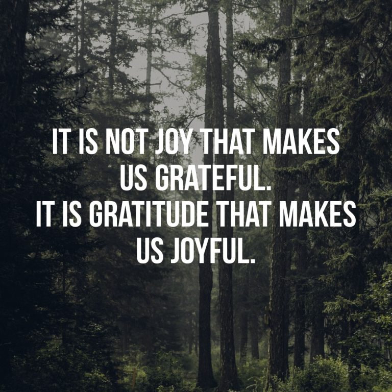 It is not joy that makes us grateful. It is gratitude that makes us joyful.