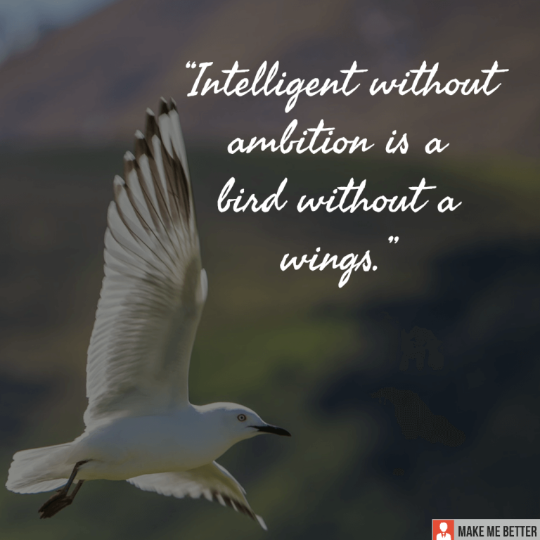 Intelligent without ambition is a bird without a wings.
