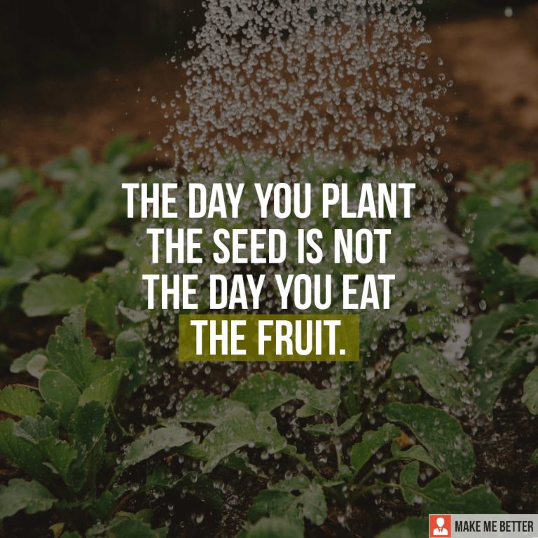 The day you plant the seed is not the day you eat the fruit.