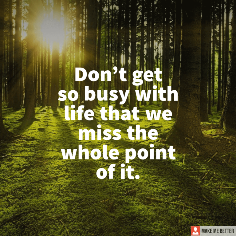 Don’t get so busy with life that we miss the whole point of it. Don’t get so busy with life that we miss the whole point of it.