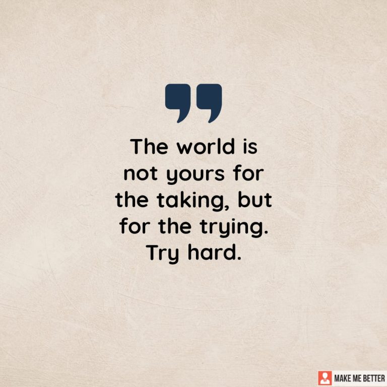 The world is not yours for the taking, but for the trying. Try hard.