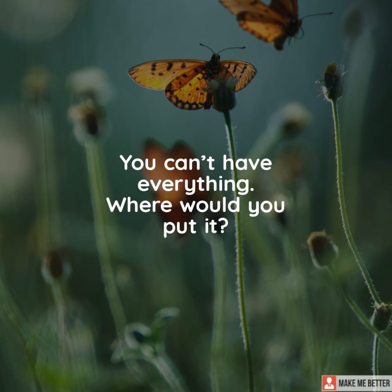 You can’t have everything. Where would you put it?