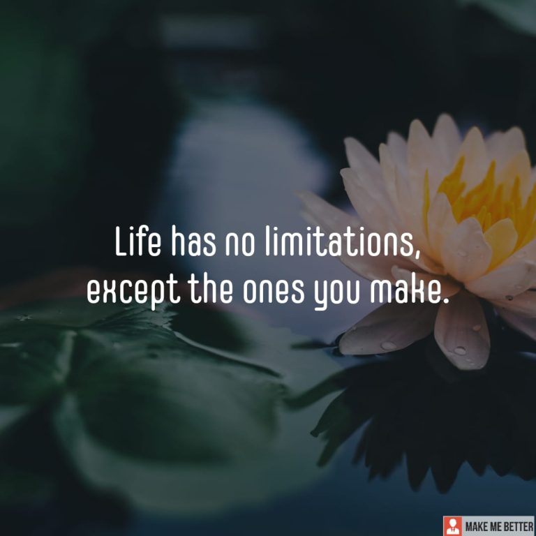 Life has no limitations, except the ones you make.