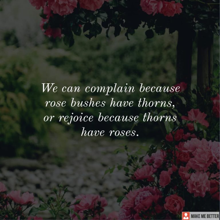We can complain because rose bushes have thorns, or rejoice because thorns have roses. We can complain because rose bushes have thorns, or rejoice because thorns have roses.