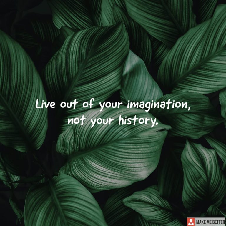 Live out of your imagination, not your history.