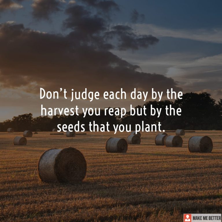 Don’t judge each day by the harvest you reap but by the seeds that you plant. Don’t judge each day by the harvest you reap but by the seeds that you plant.