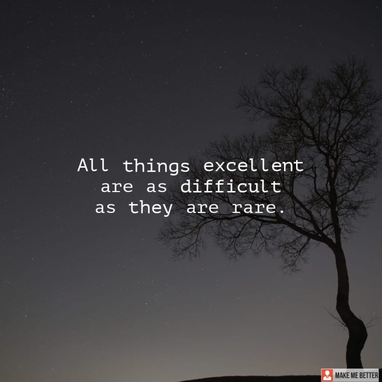 All things excellent are as difficult as they are rare.