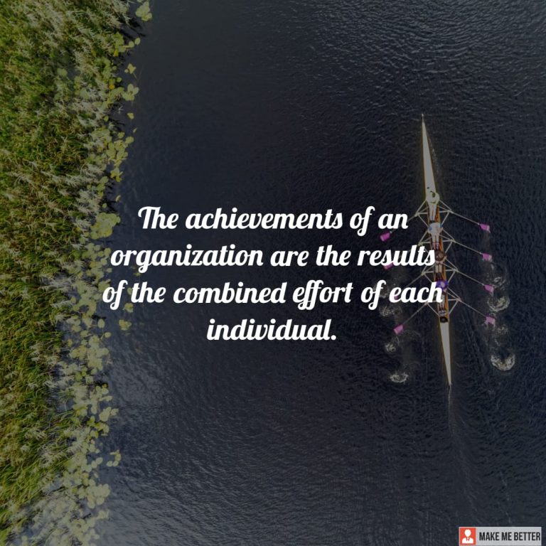 The achievements of an organization are the results of the combined effort of each individual.