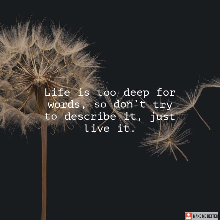 Life is too deep for words, so don’t try to describe it, just live it.