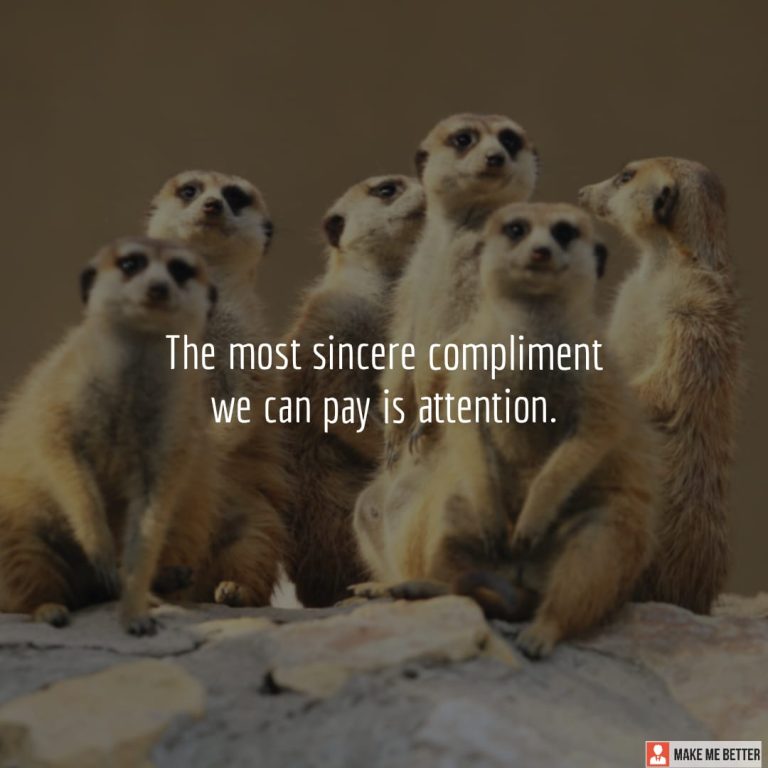 The most sincere compliment we can pay is attention.