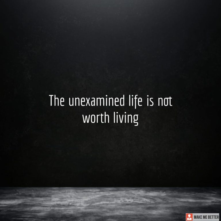 The unexamined life is not worth living The unexamined life is not worth living