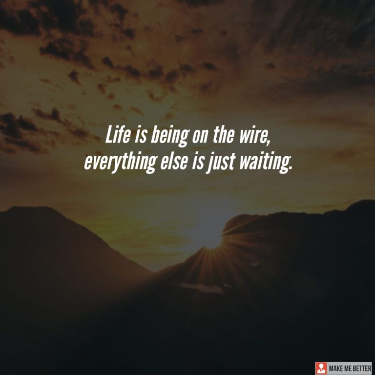 Life is being on the wire, everything else is just waiting. Life is being on the wire, everything else is just waiting.