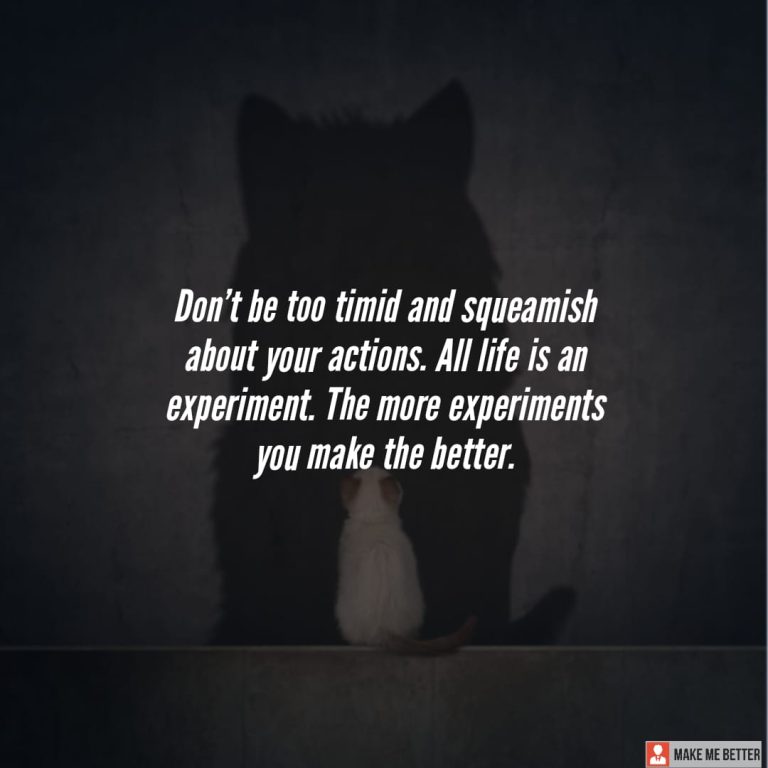 Don’t be too timid and squeamish about your actions. All life is an experiment. The more experiments you make the better.