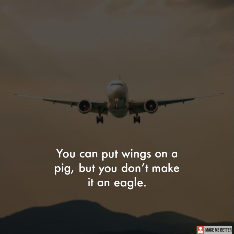 You can put wings on a pig, but you don’t make it an eagle.