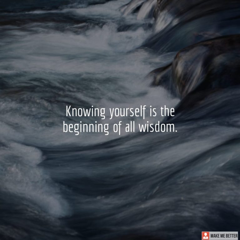 Knowing yourself is the beginning of all wisdom.