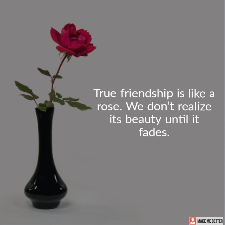 True friendship is like a rose. We don’t realize its beauty until it fades.