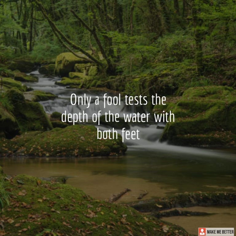 Only a fool tests the depth of the water with both feet
