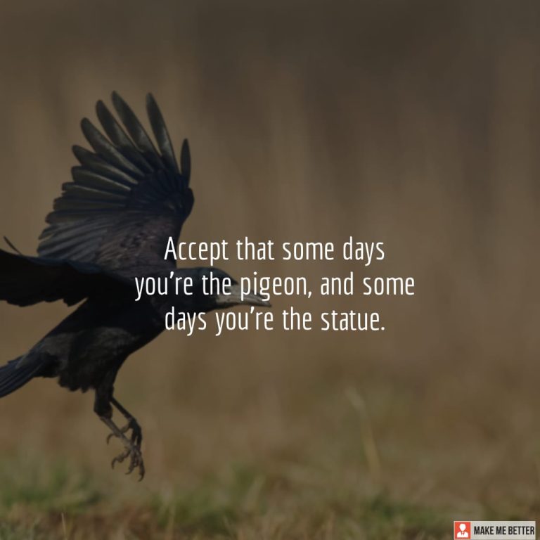 Accept that some days you’re the pigeon, and some days you’re the statue.