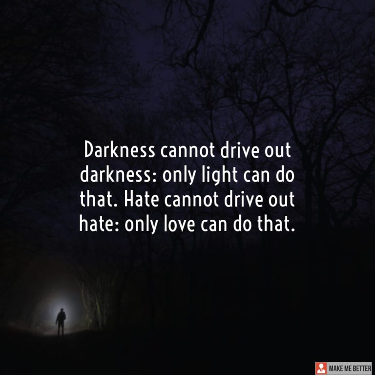 Darkness cannot drive out darkness: only light can do that. Hate cannot drive out hate: only love can do that.