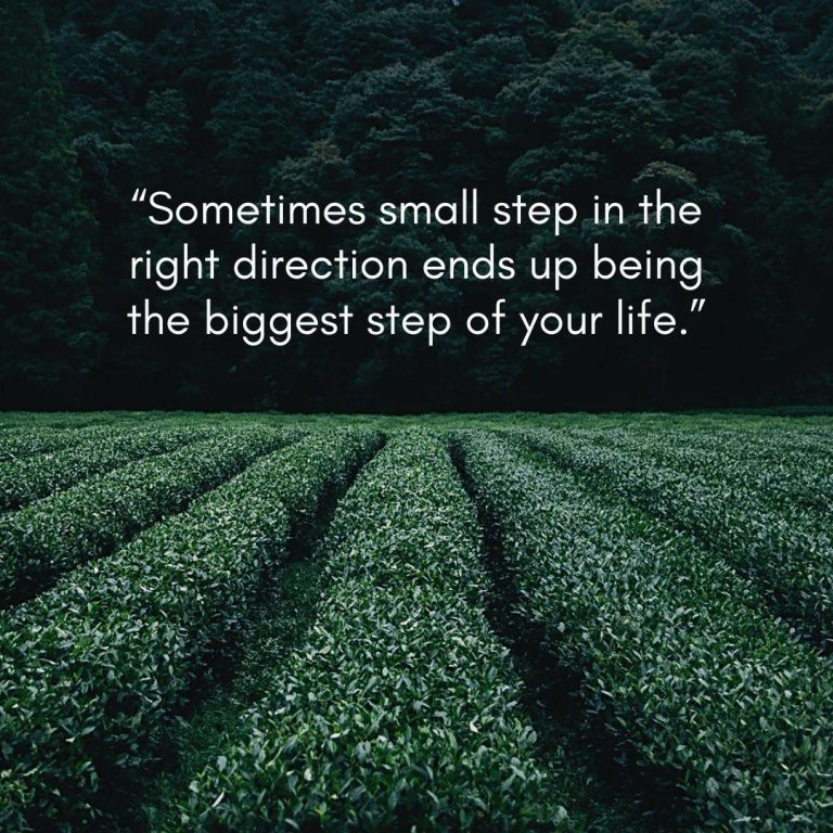 Sometimes small step in the right direction ends up being the biggest step of your life.