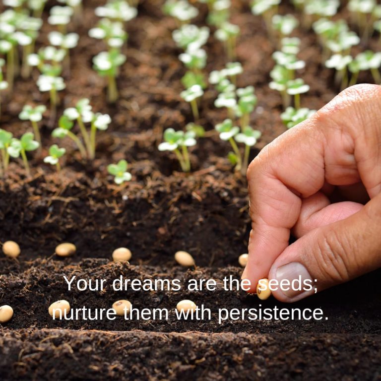 Your dreams are the seeds; nurture them with persistence. Your dreams are the seeds; nurture them with persistence.