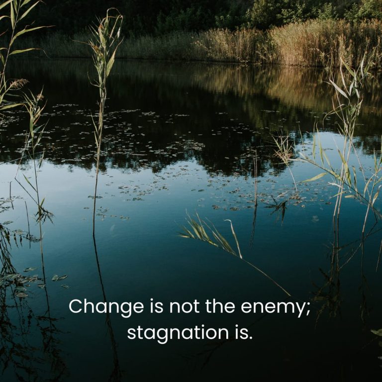 Change is not the enemy; stagnation is. Change is not the enemy; stagnation is.