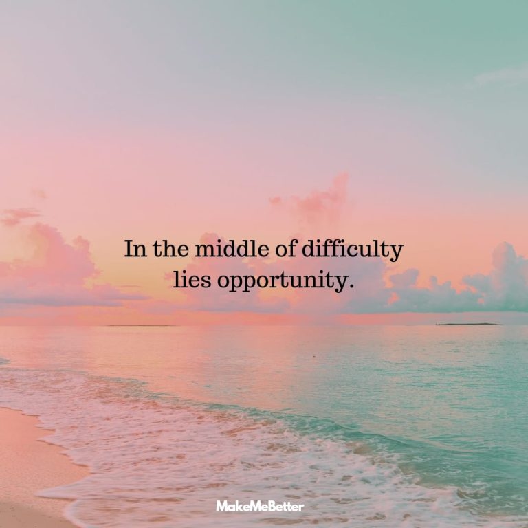 In the middle of difficulty lies opportunity.